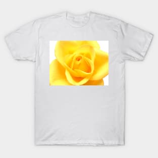 Yellow rose T-Shirt